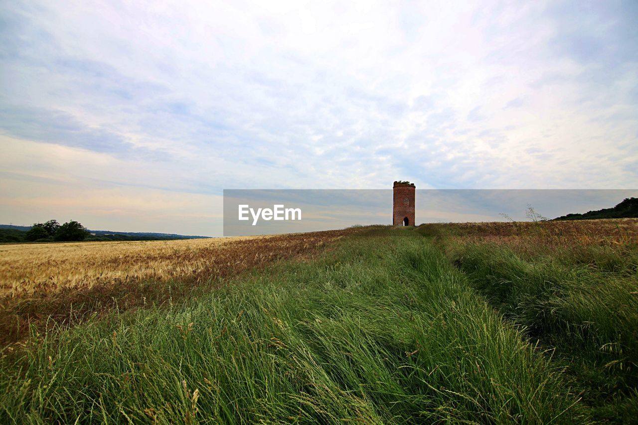 GRASSY FIELD AGAINST SKY