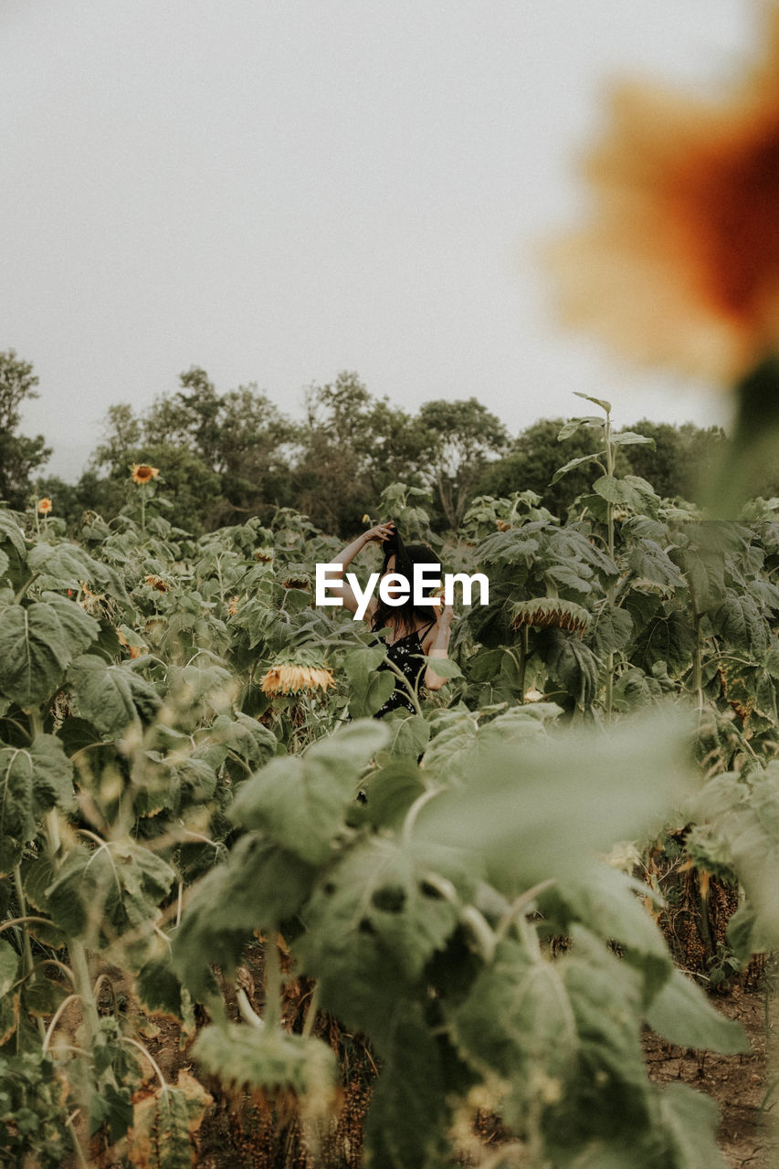 Young woman standing amidst sunflowers on field against sky