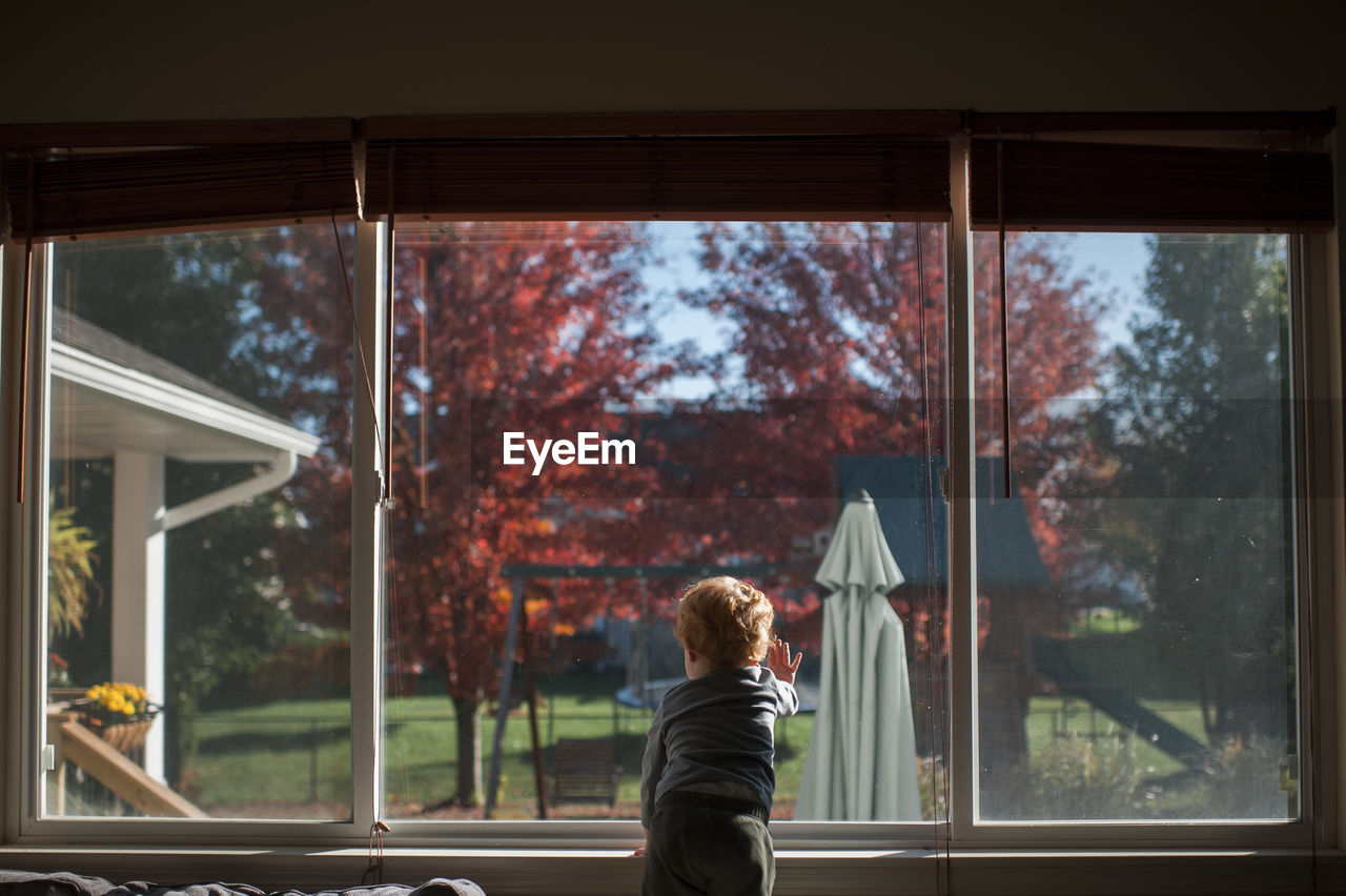 Toddler boy stares out window into the backyard on a fall day