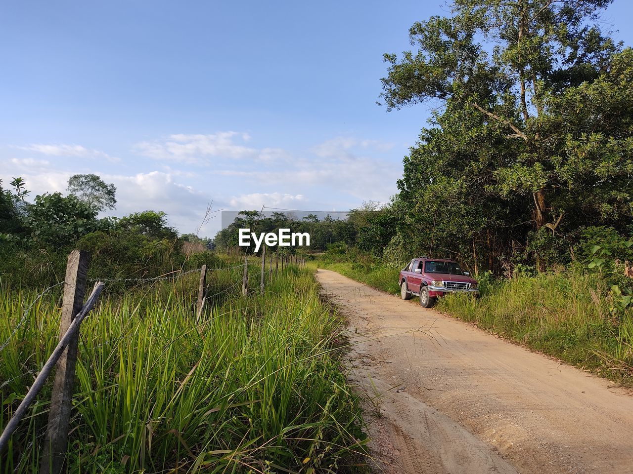 DIRT ROAD AMIDST TREES AND PLANTS ON FIELD