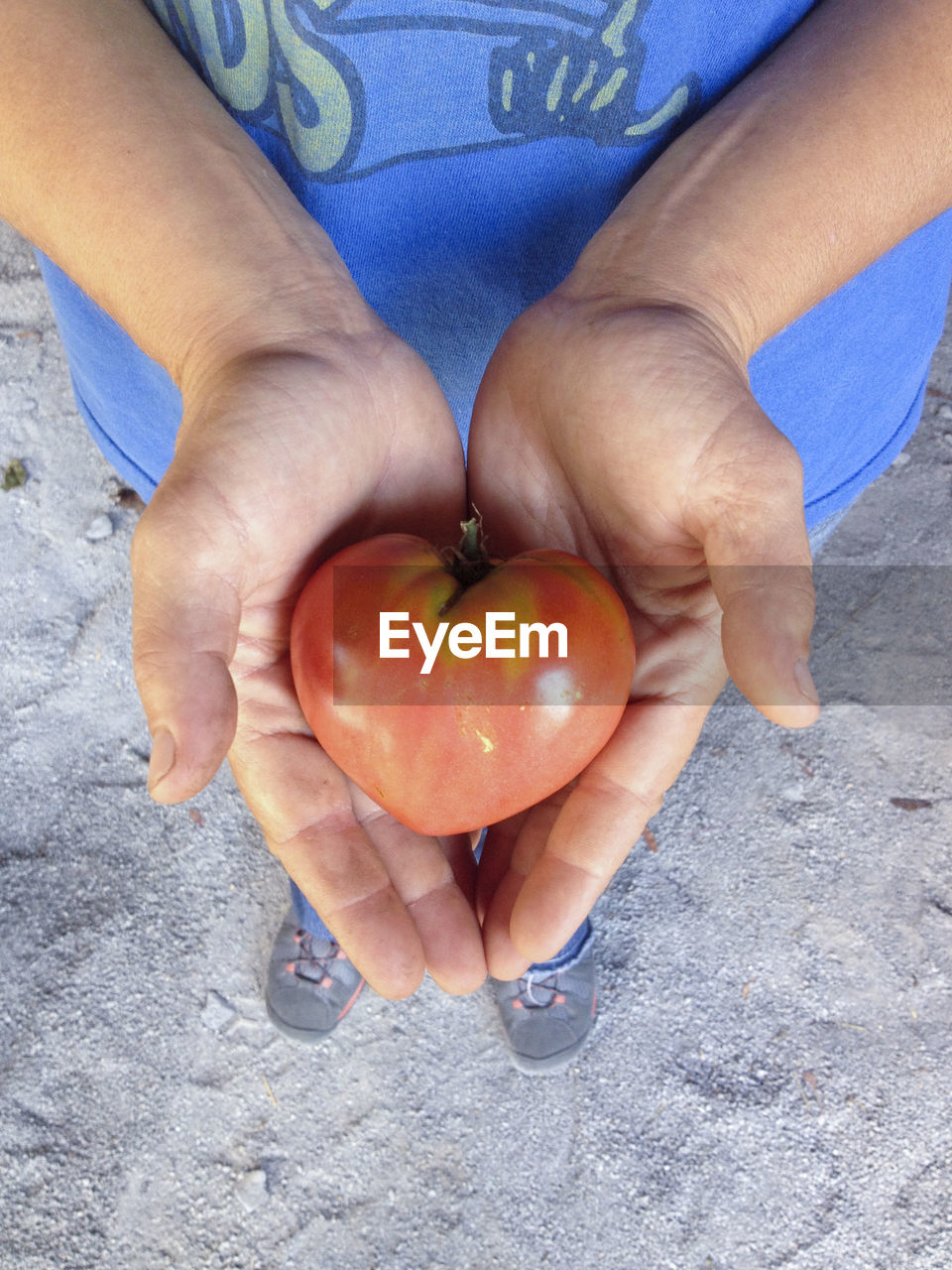 HIGH ANGLE VIEW OF WOMAN HOLDING APPLE