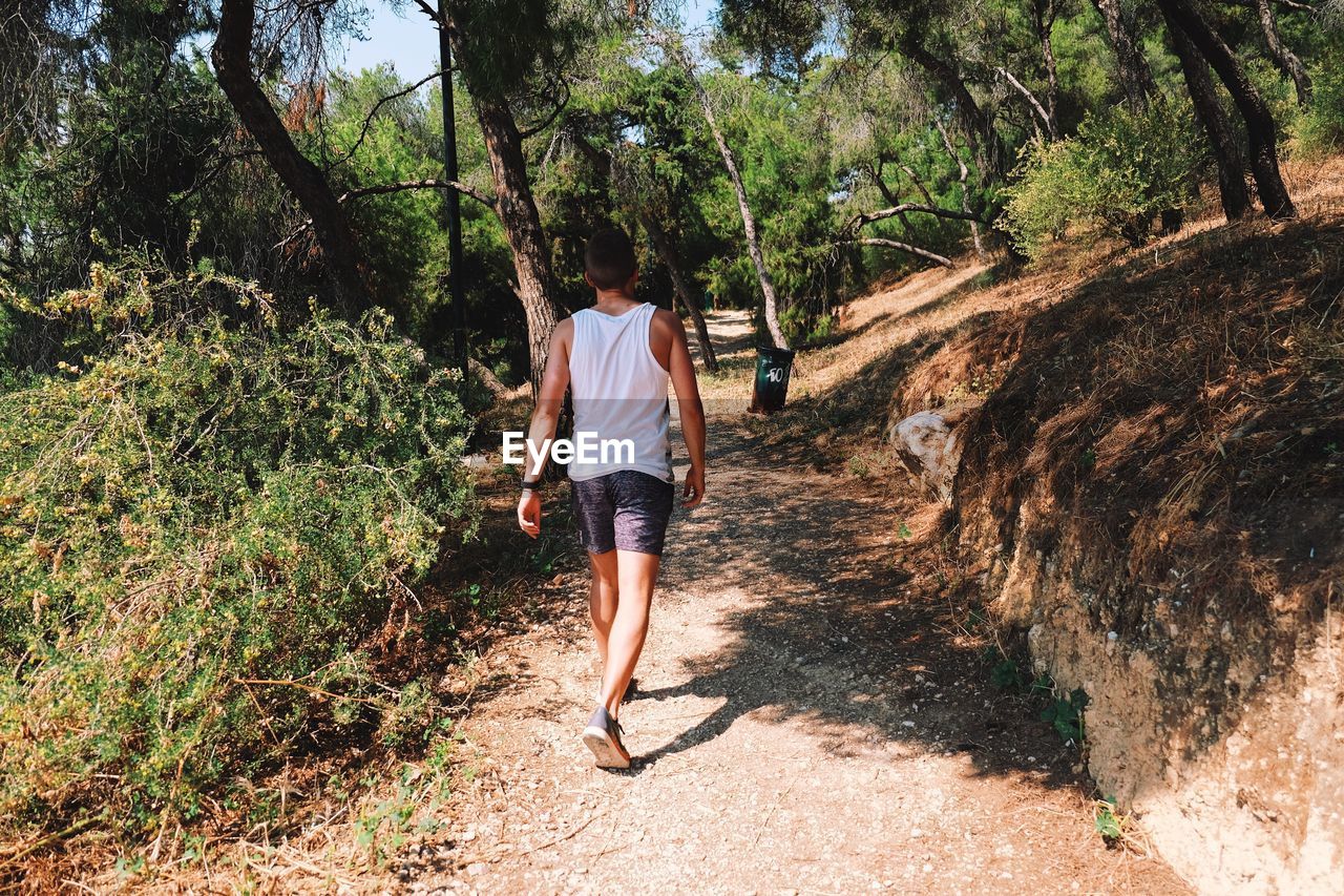 Rear view of man walking on footpath at forest