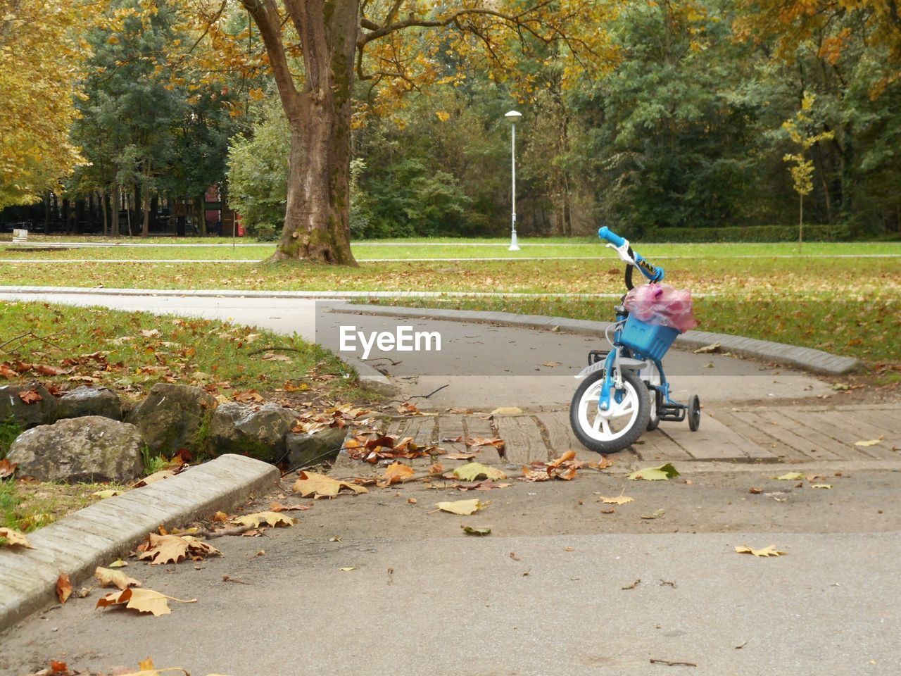MAN SITTING ON BICYCLE IN PARK
