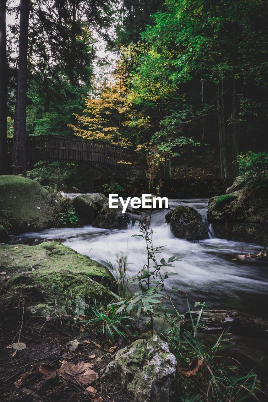 Stream flowing through rocks in forest