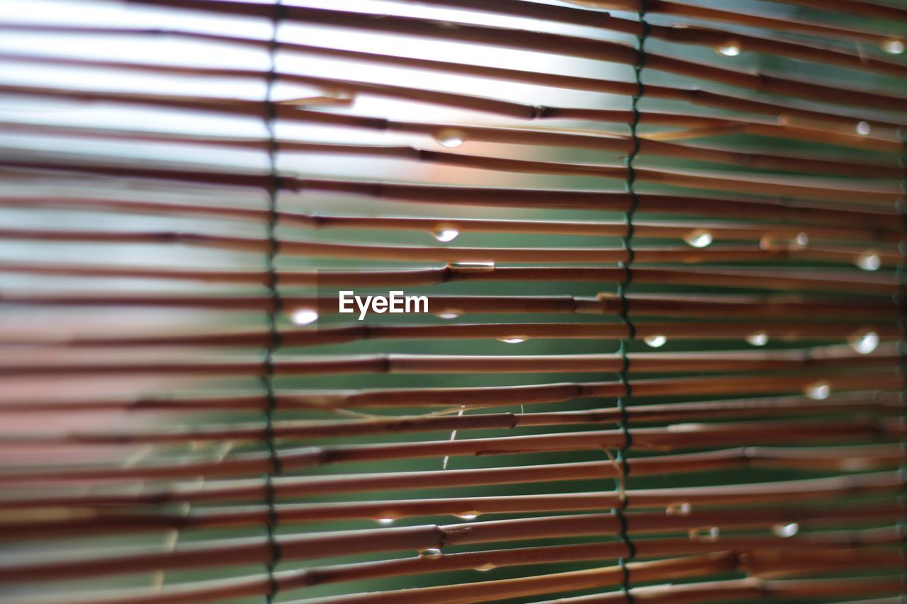 FULL FRAME SHOT OF WINDOW