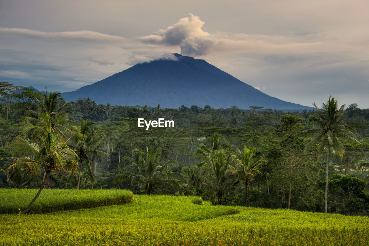 The scenery of mount agung bali