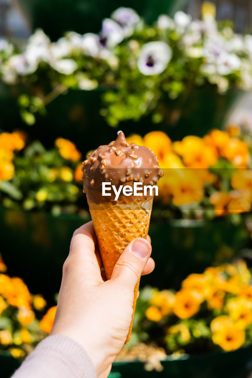 cropped hand of woman holding ice cream cone