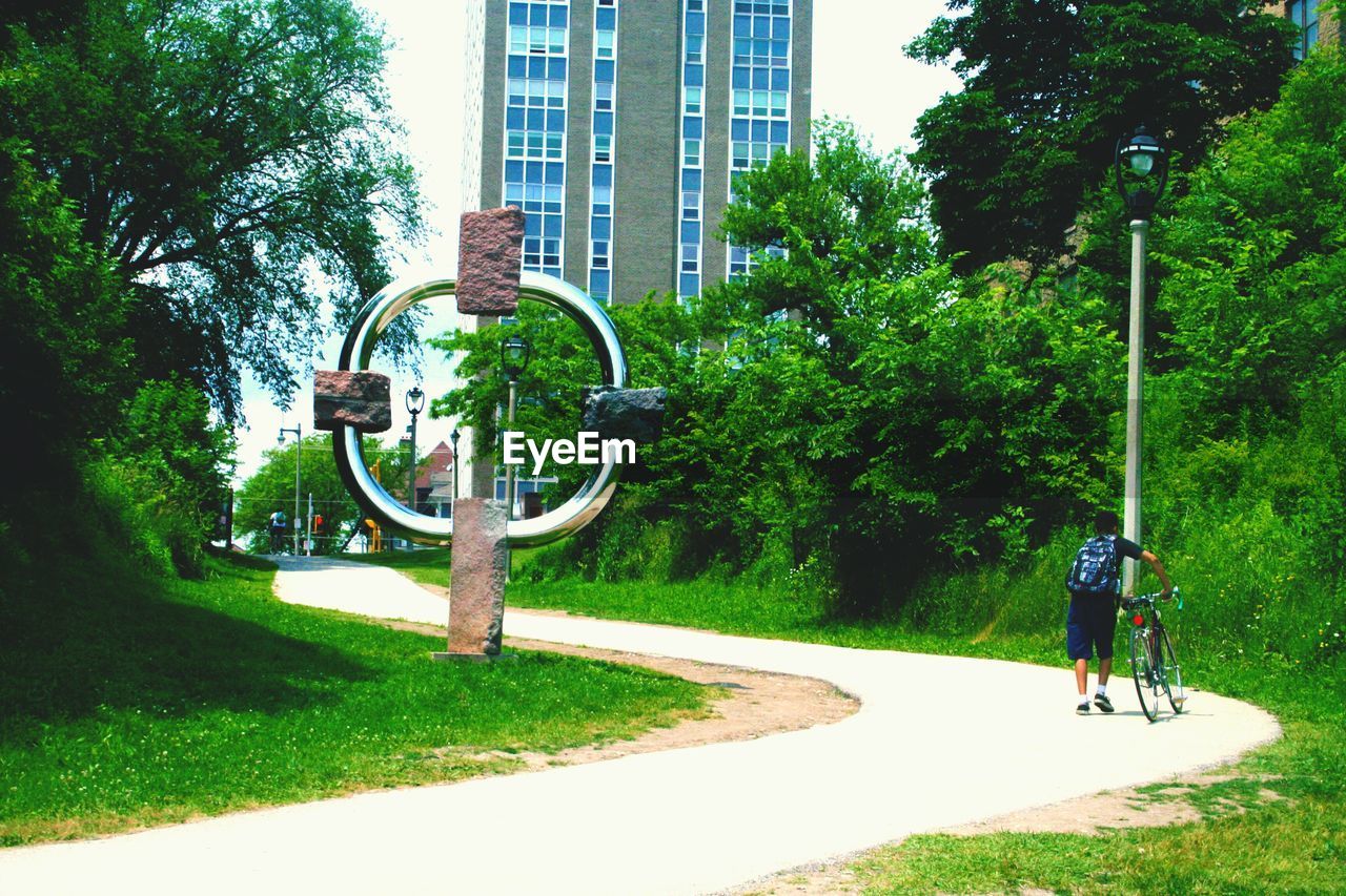 VIEW OF TREES IN PARK