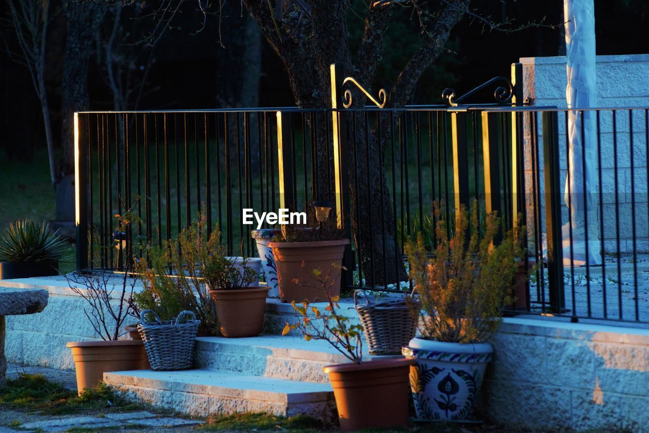 POTTED PLANTS ON TABLE BY RAILING IN YARD