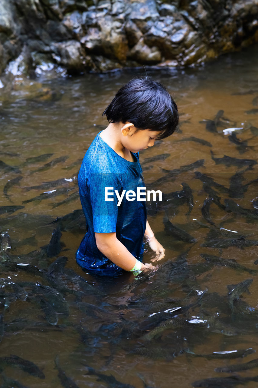 An asian boy feed and play with kelah fish in kelah sanctuary kenyir lake, terengganu.