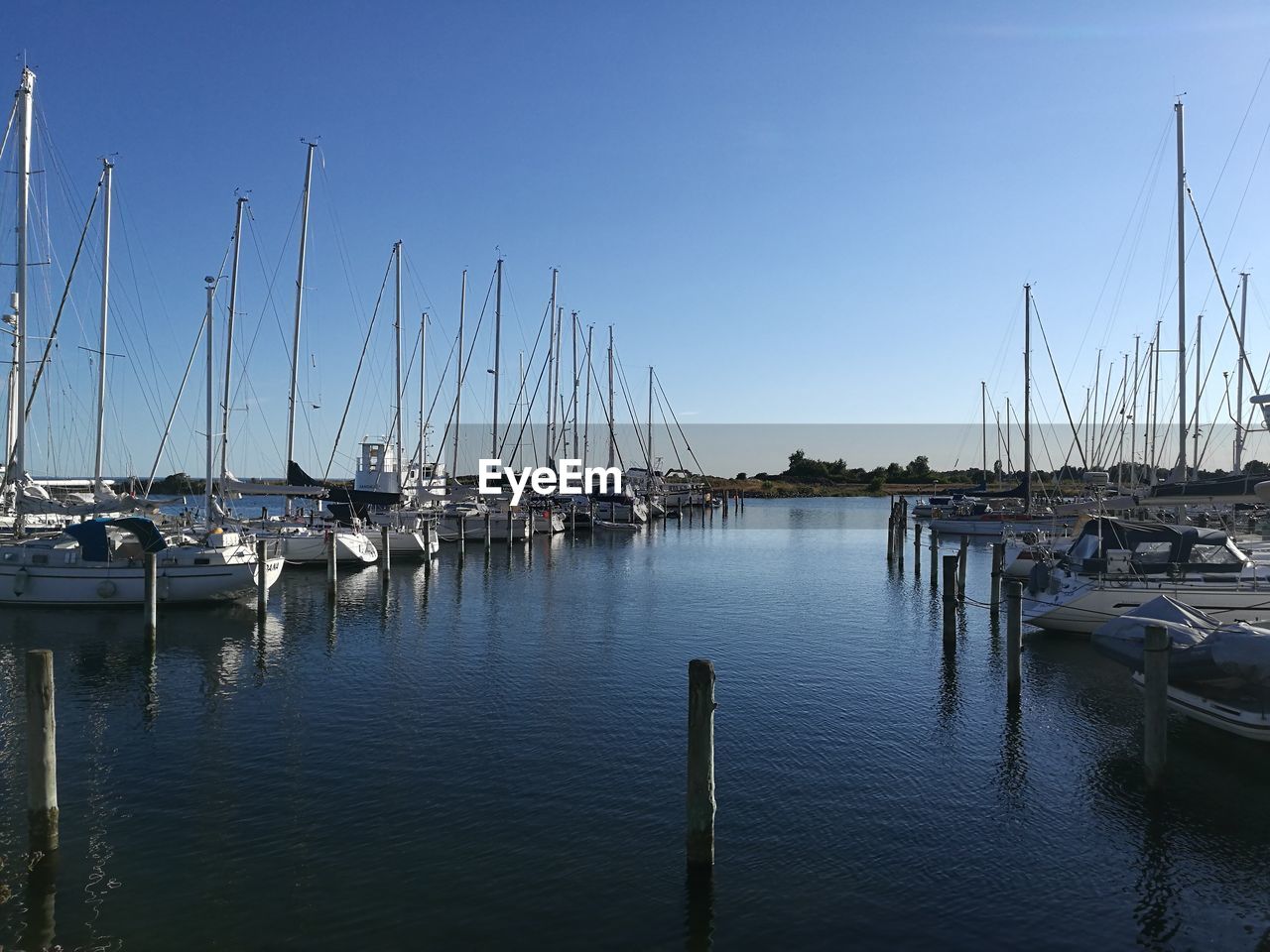 SAILBOATS IN MARINA