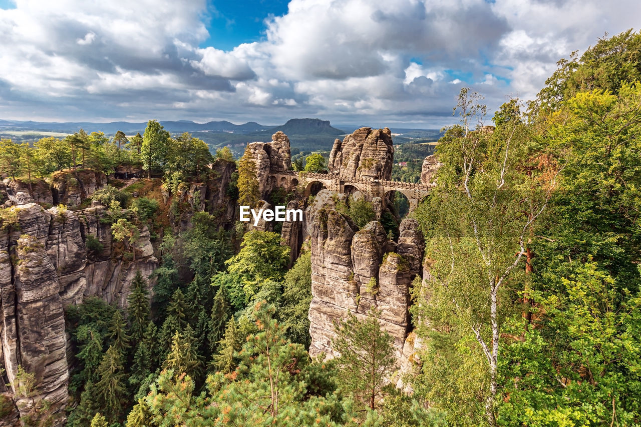 Plants growing on rock against cloudy sky