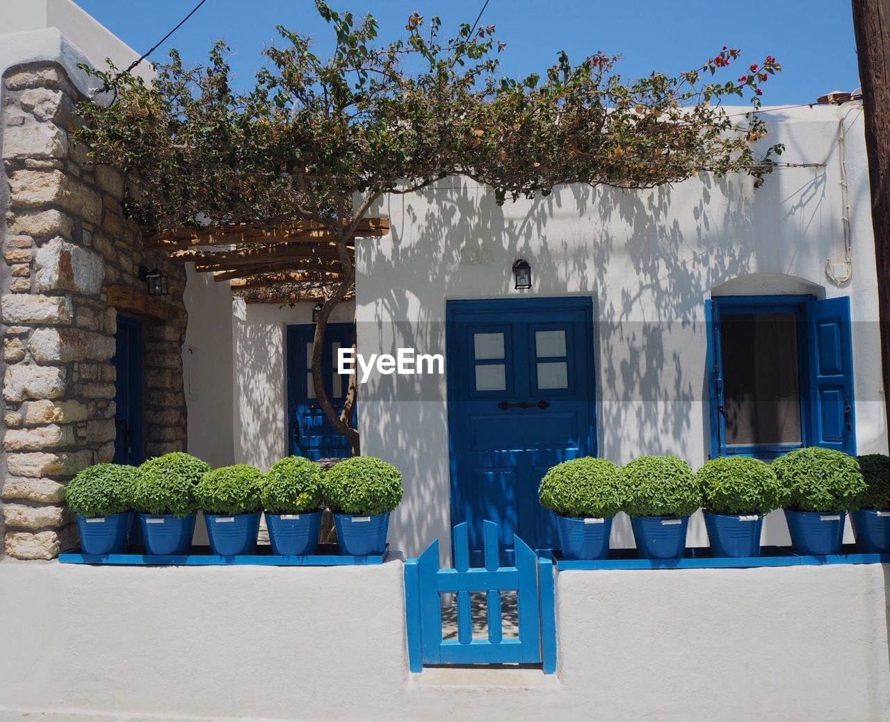 POTTED PLANTS AGAINST HOUSE WALL