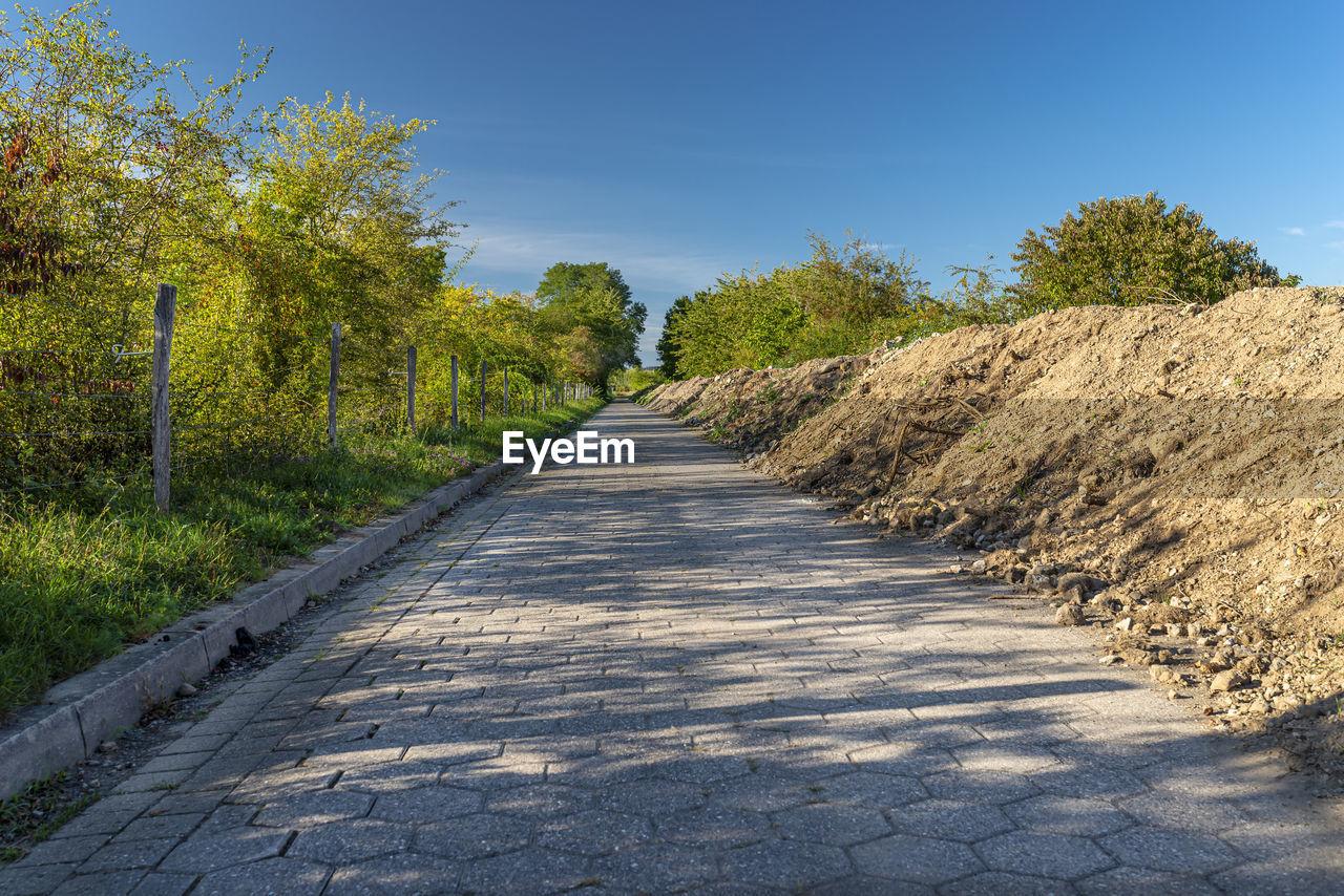 Empty road along plants and trees against sky