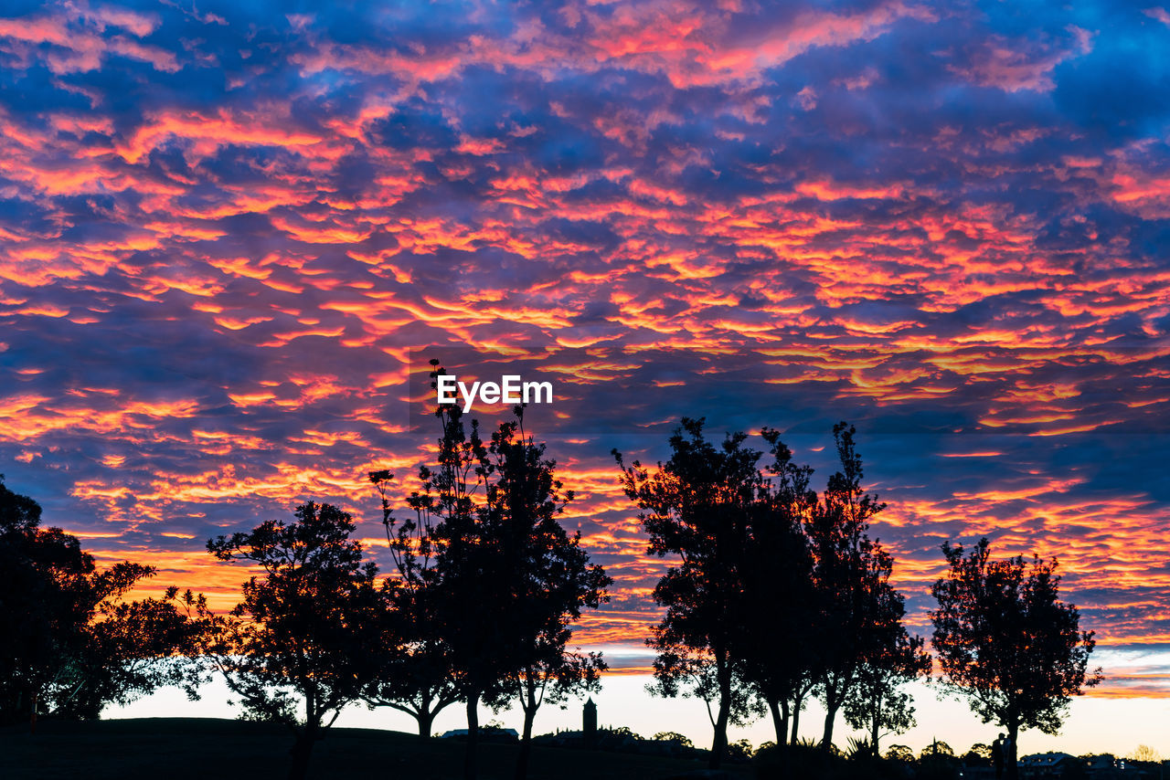 Low angle view of silhouette trees against dramatic sky