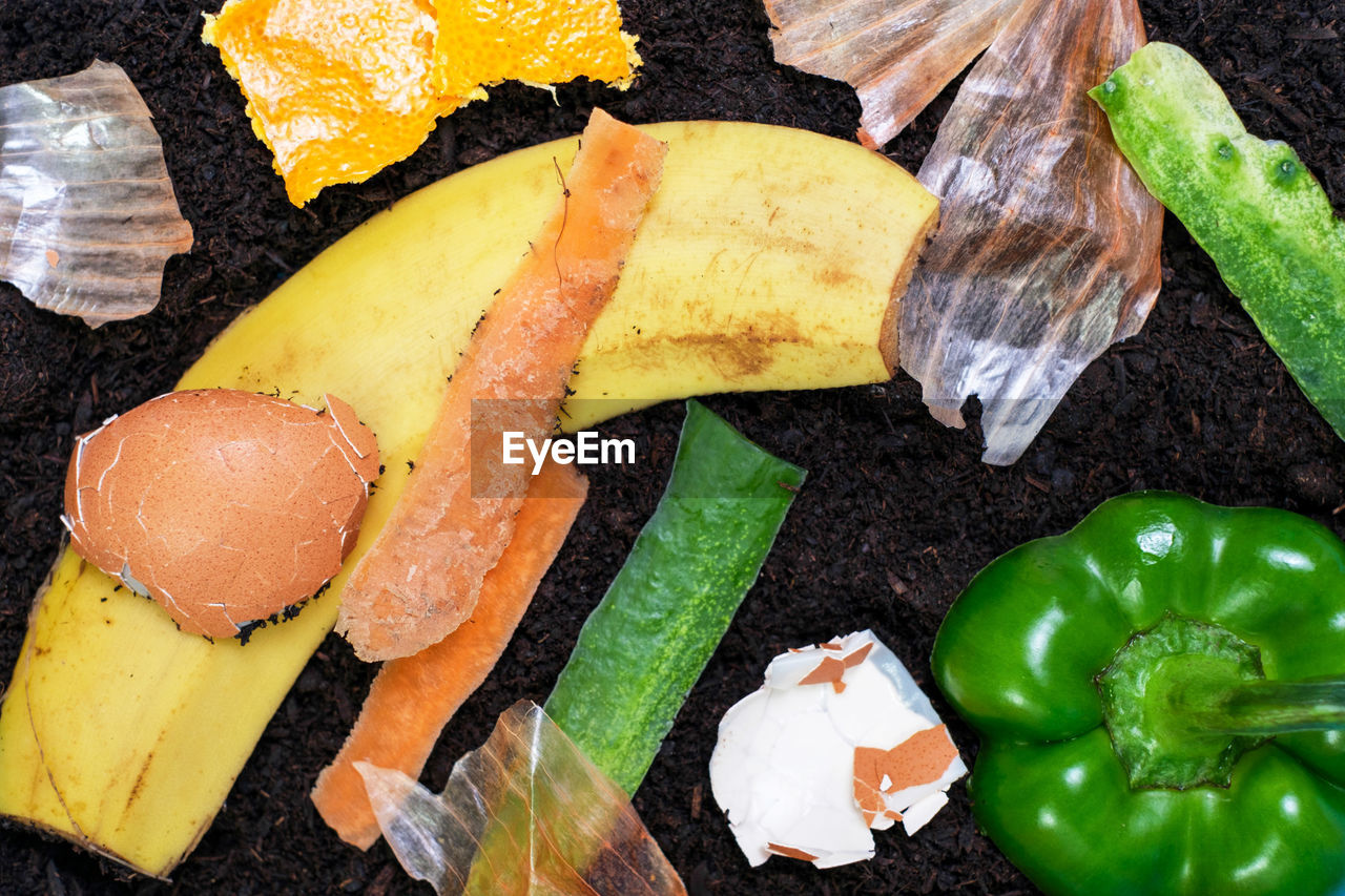 Remains of food waste on the soil close up, concert of compost and fertilizers.