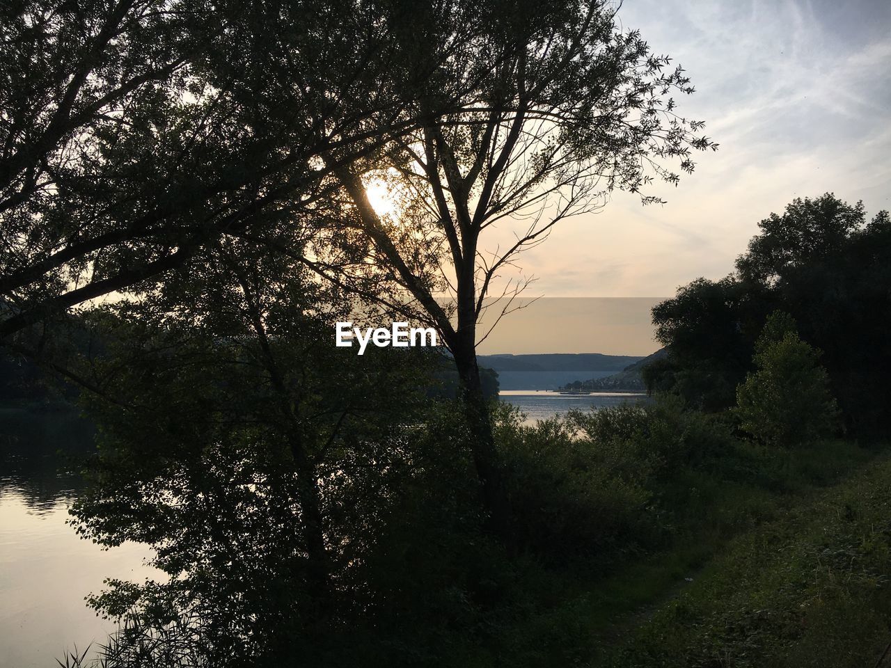 TREE BY RIVER AGAINST SKY