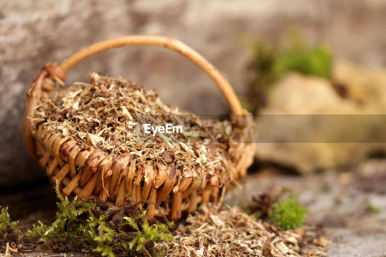 Close-up of dry leaves on basket