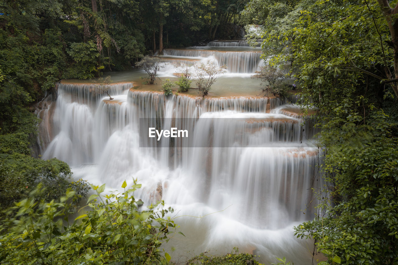 WATERFALL IN FOREST