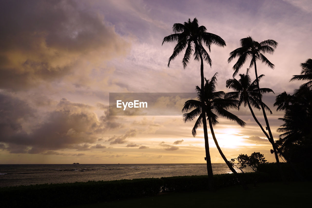 Silhouette palm tree by sea against sky during sunset