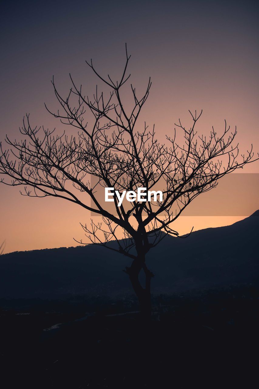 Silhouette bare tree against sky during sunset