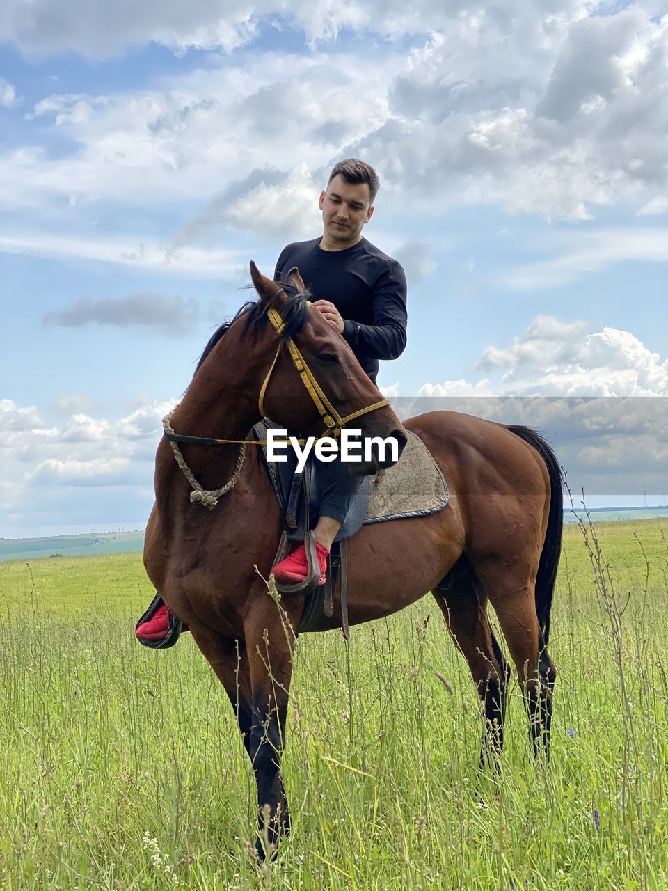 Young man riding horse on field