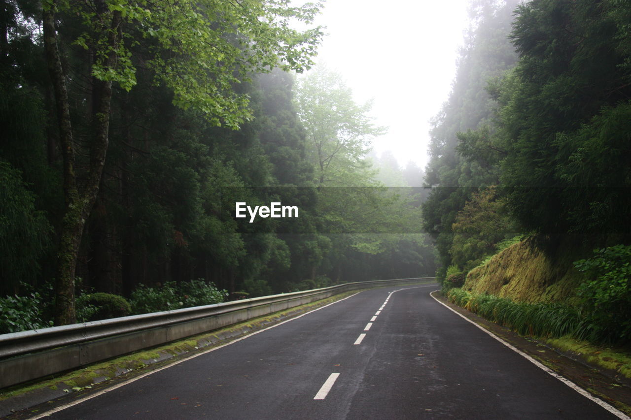 Road amidst trees in forest against sky