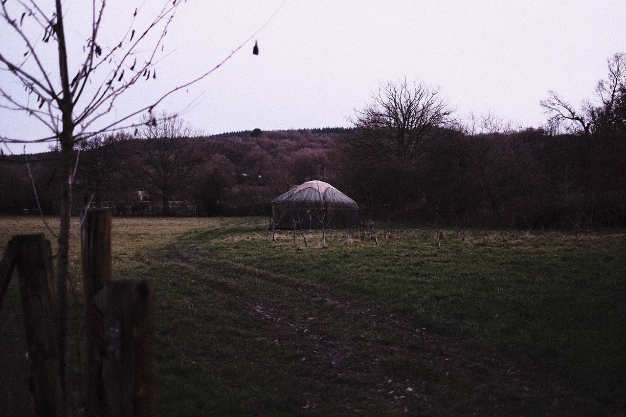 HORSE GRAZING ON FIELD