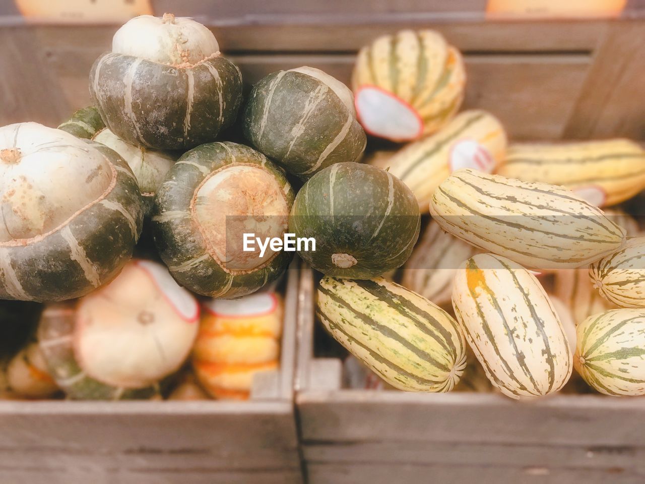 CLOSE-UP OF VEGETABLES ON TABLE