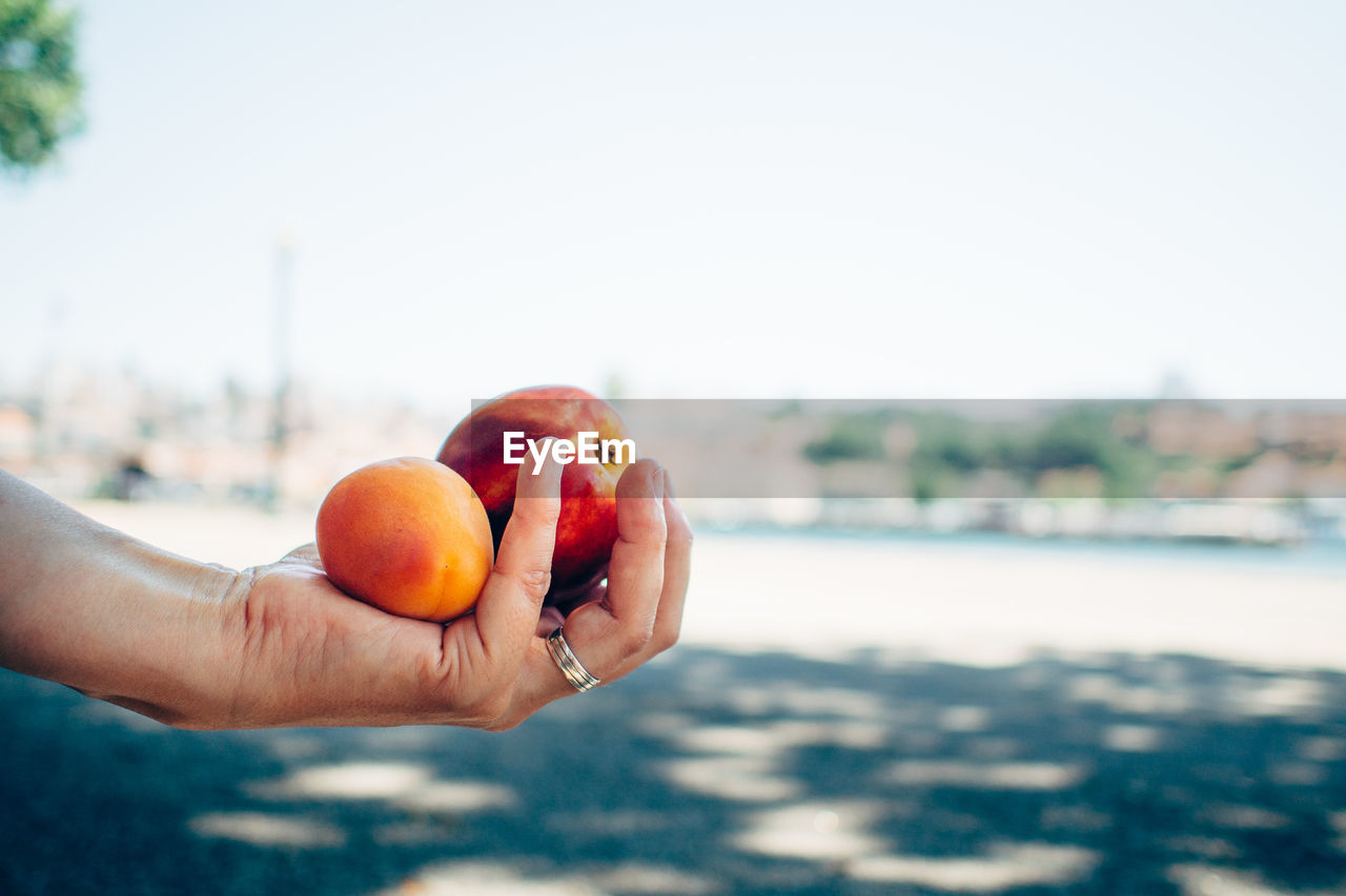 Cropped image of woman holding apricot and apple