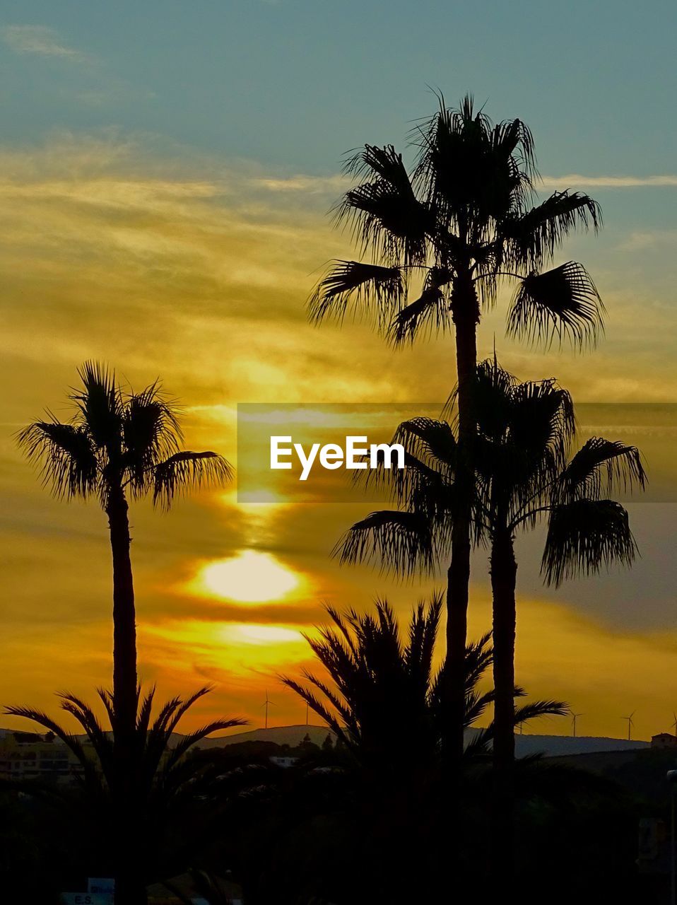 SILHOUETTE PALM TREE AGAINST ROMANTIC SKY