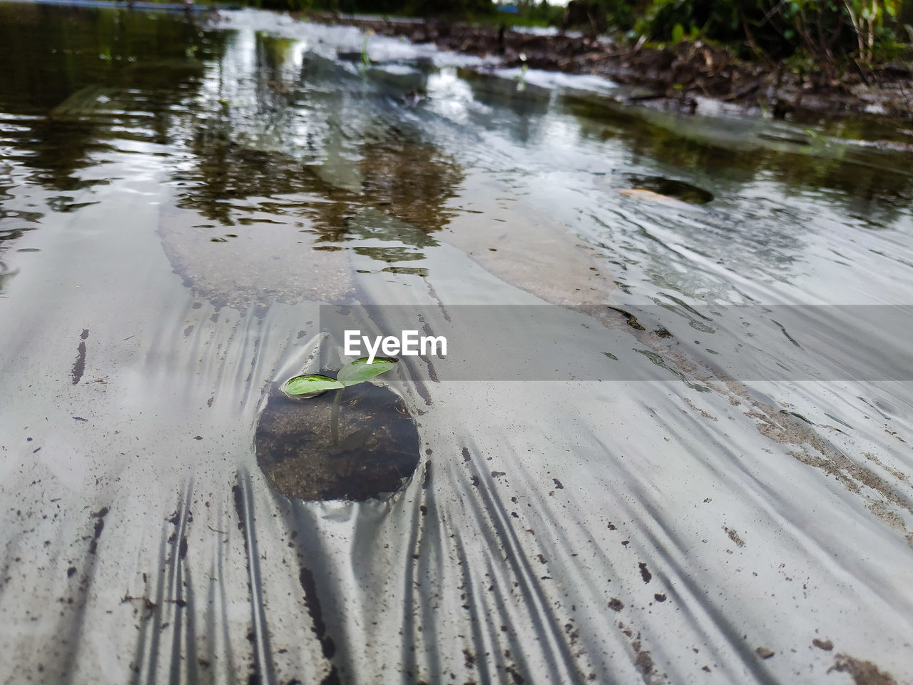 HIGH ANGLE VIEW OF BIRD PERCHING ON A LAKE