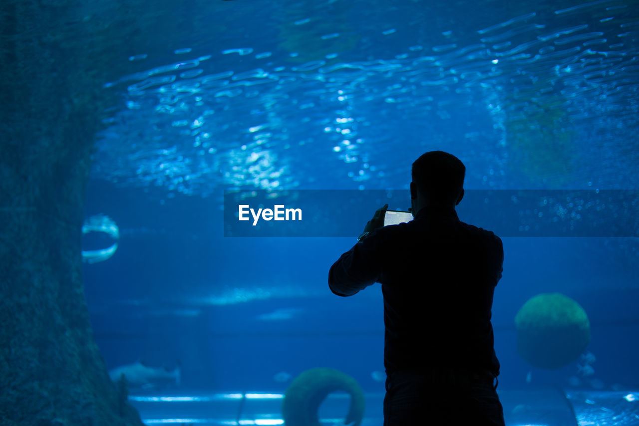Silhouette man photographing fish tank in aquarium