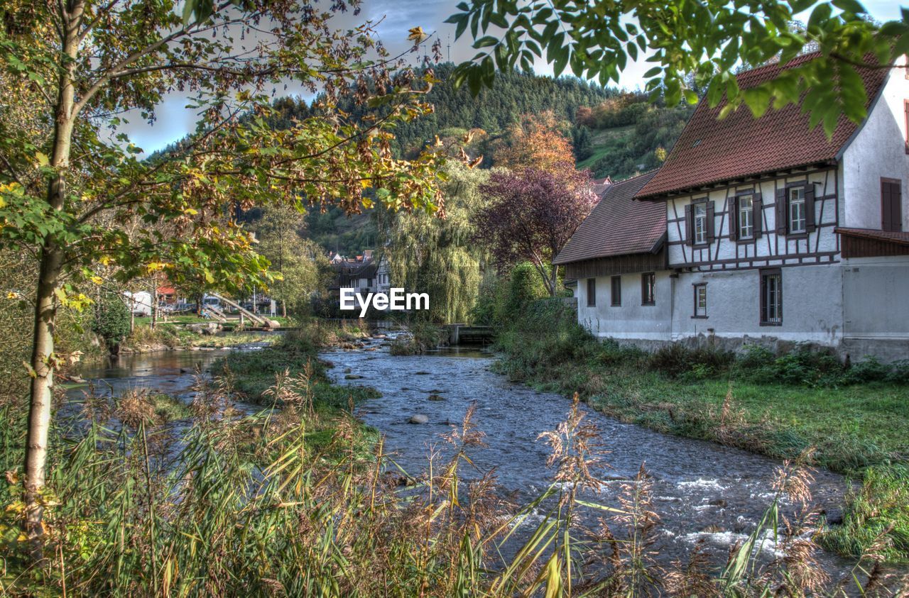 River flowing by houses in forest