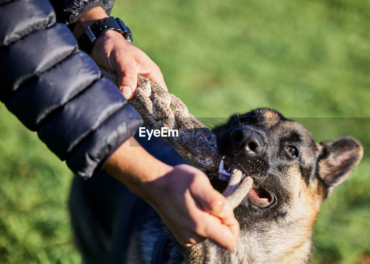 midsection of man with dog on field