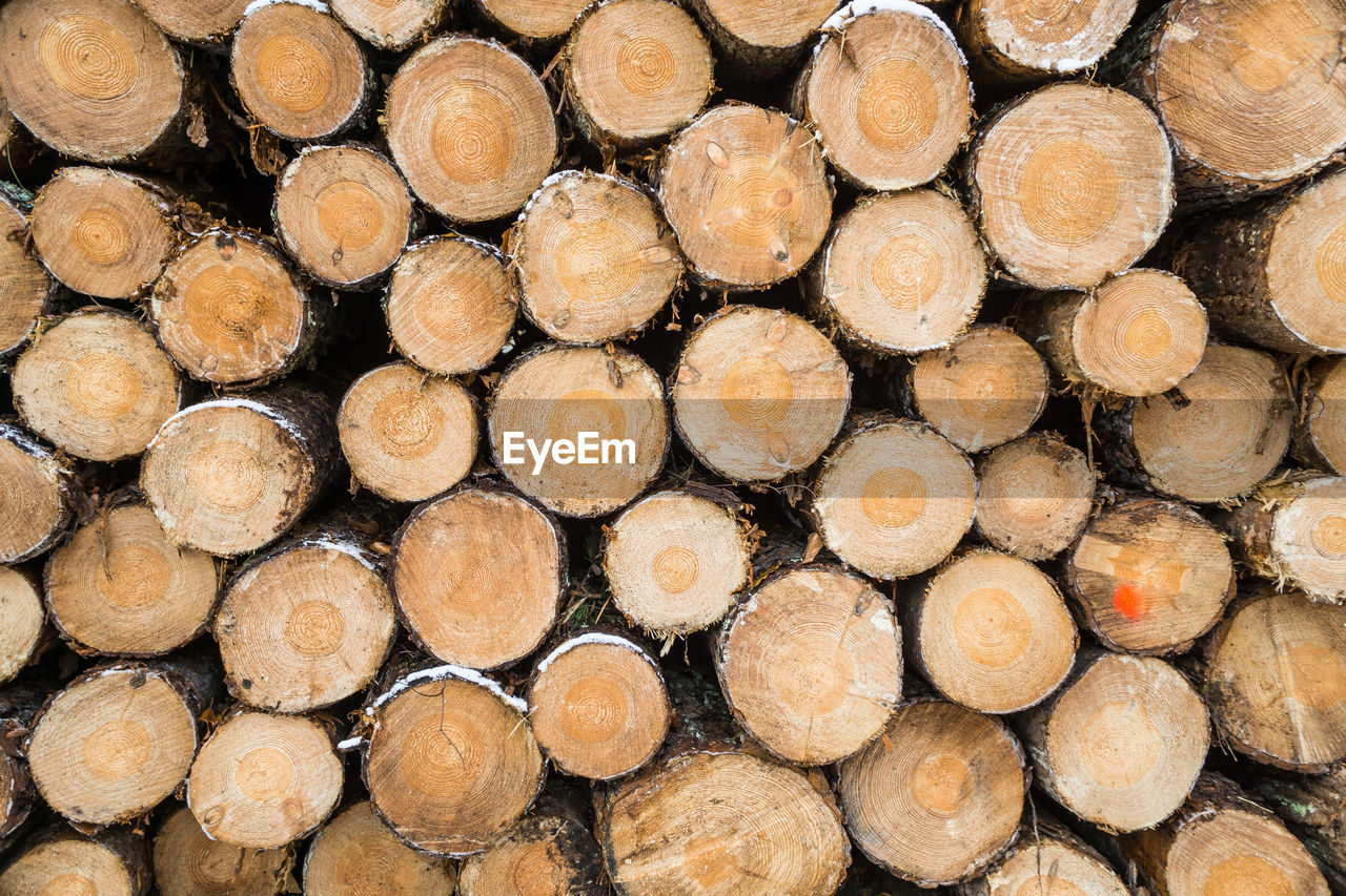 Full frame shot of logs