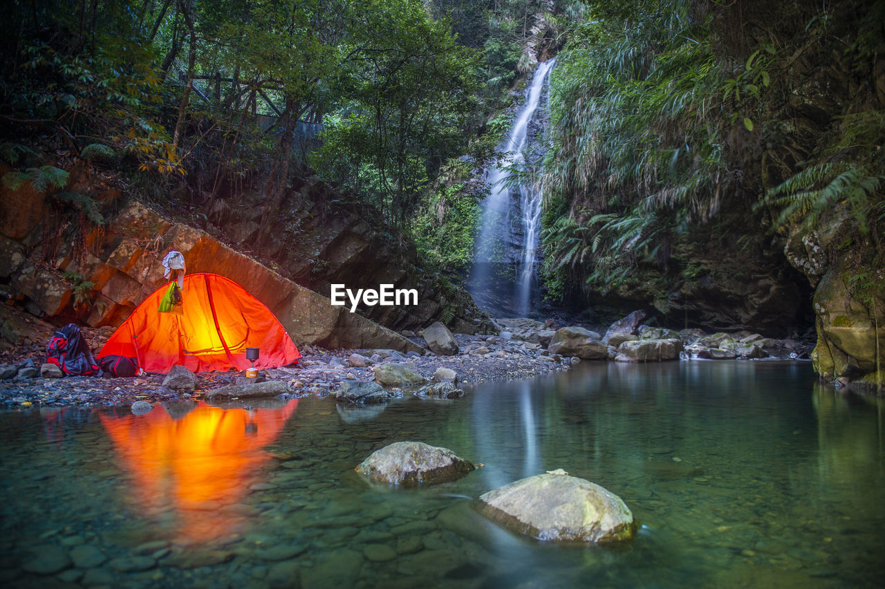 Scenic view of waterfall in forest