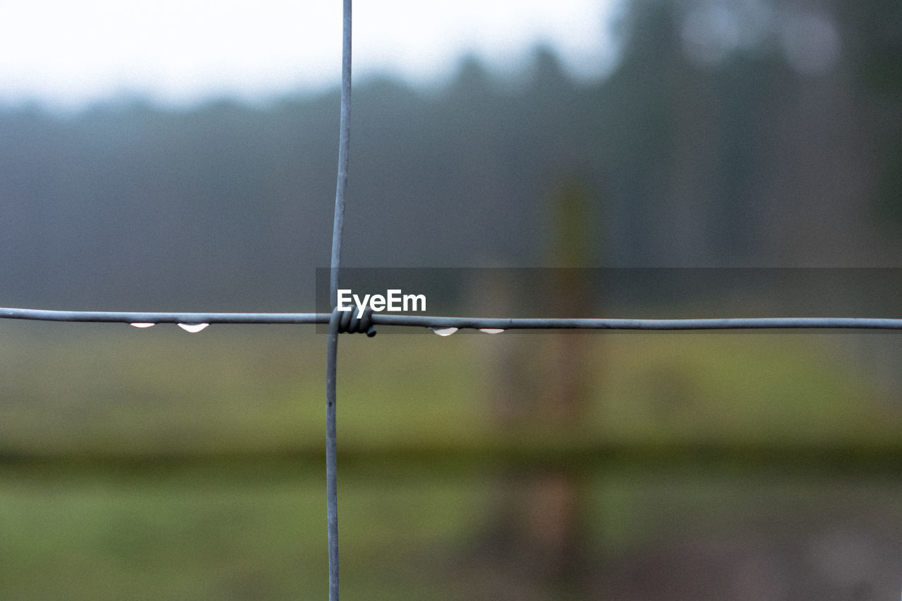 Close-up of water drops on metal