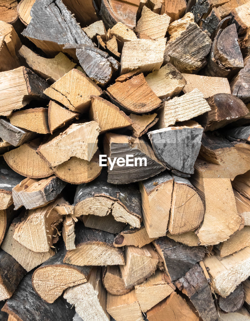 FULL FRAME SHOT OF FIREWOOD IN FOREST