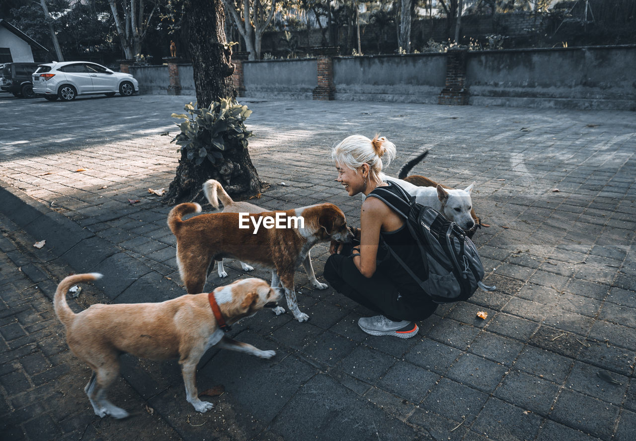 Full length woman crouching with stray dog on footpath