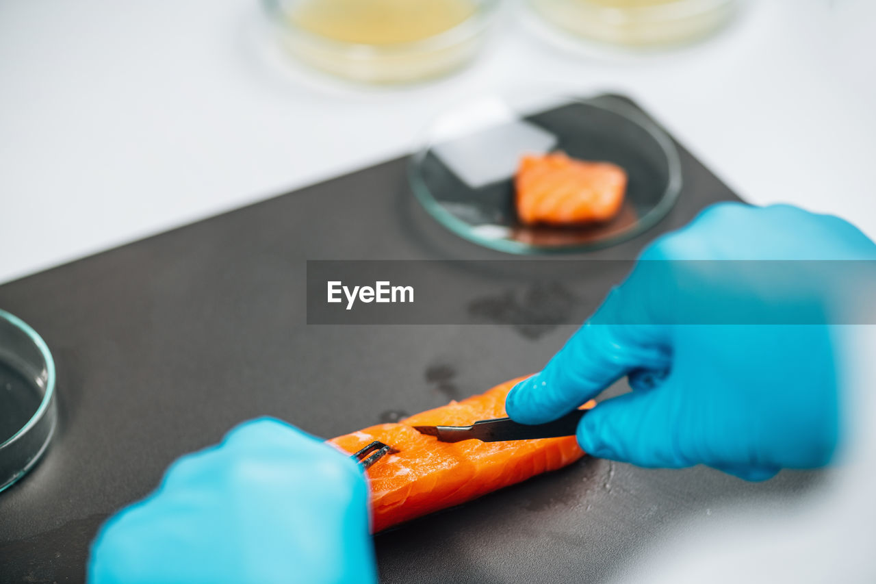 Food quality control of sea fish. quality control inspector analyzing salmon in a laboratory.