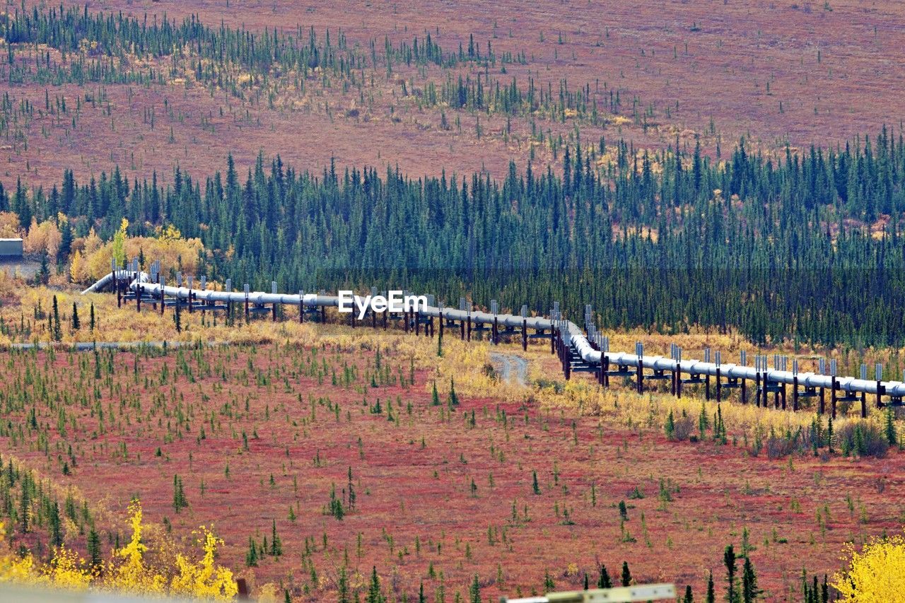 plant, tree, landscape, scenics - nature, land, environment, beauty in nature, nature, growth, tranquil scene, no people, field, rural scene, non-urban scene, tranquility, forest, mountain, day, valley, agriculture, wilderness, high angle view, rural area, outdoors, autumn, transport, aerial photography, travel, transportation, plateau, pine woodland, coniferous tree