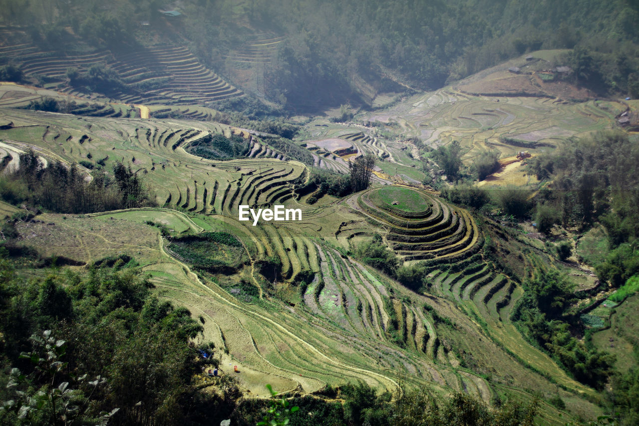 Aerial view of agricultural field