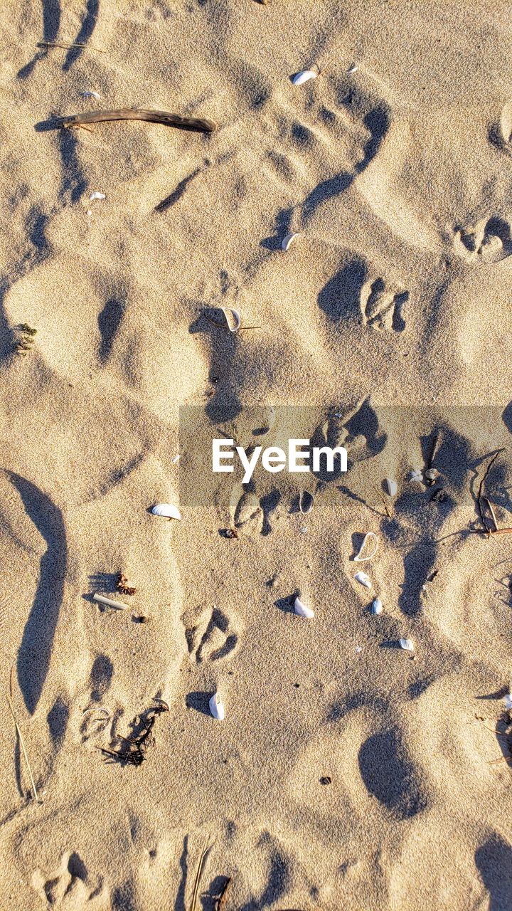 FULL FRAME SHOT OF FOOTPRINTS ON SAND