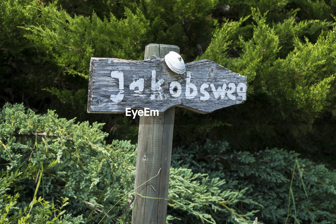 plant, communication, sign, tree, nature, text, no people, guidance, symbol, arrow symbol, green, day, forest, growth, directional sign, outdoors, trail, land, information sign, western script, wood, road sign, road, foliage