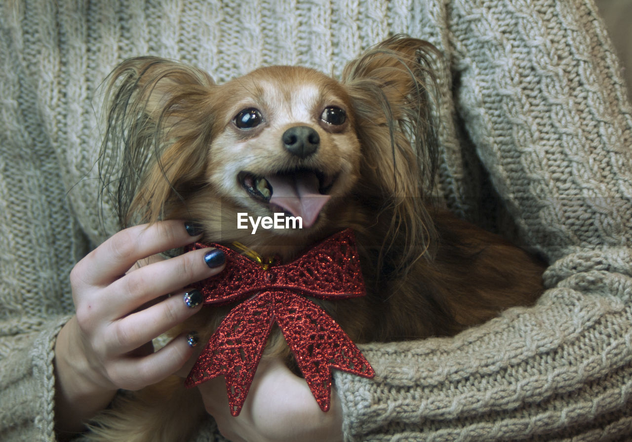 PORTRAIT OF WOMAN HOLDING DOG WITH HAND ON BLANKET