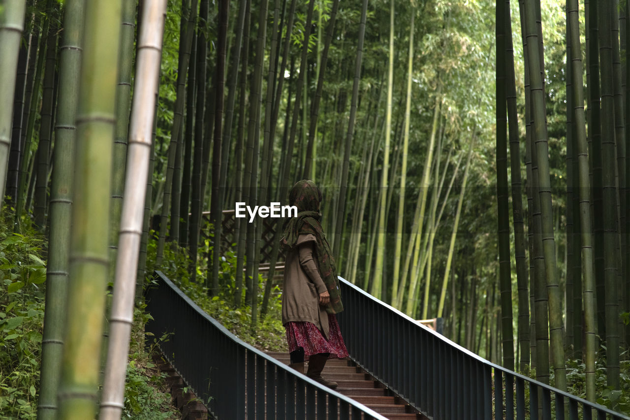 View of a woman in the bamboo forest