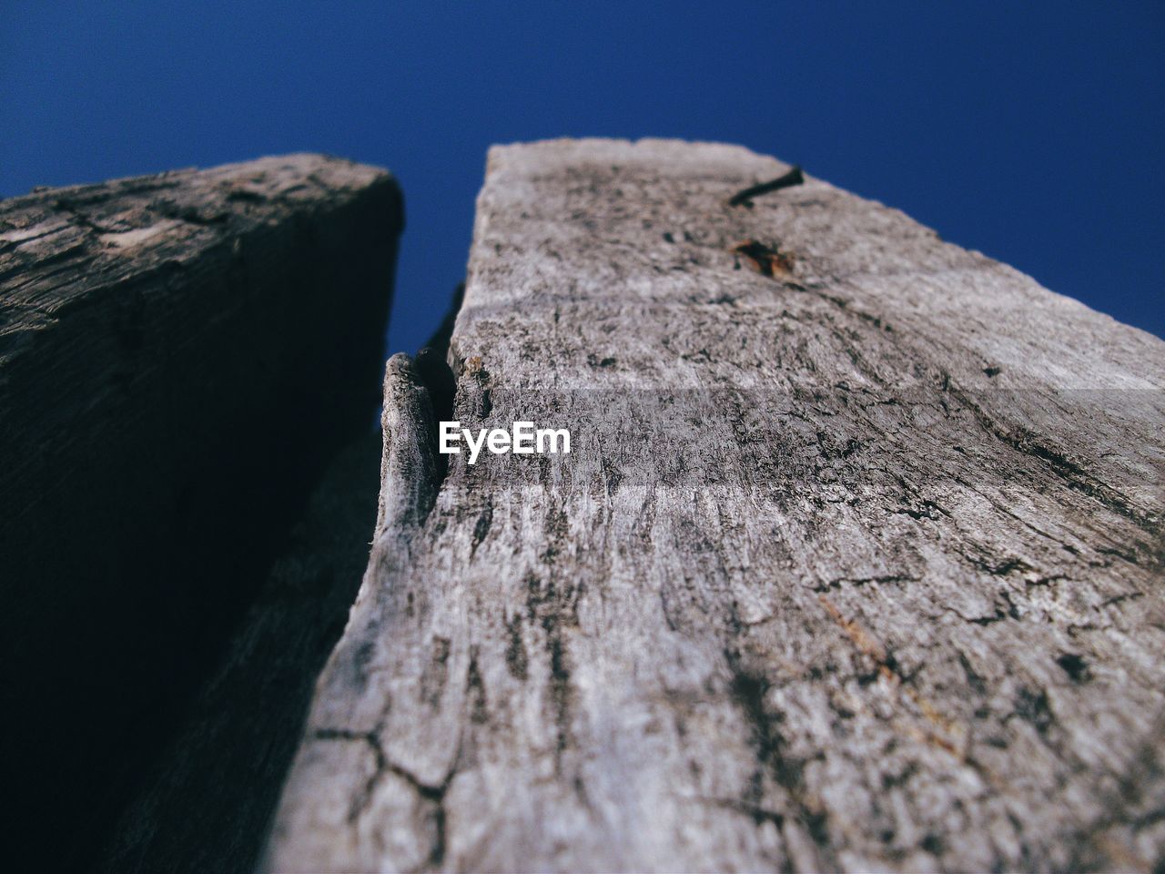 Close-up of wood against clear sky