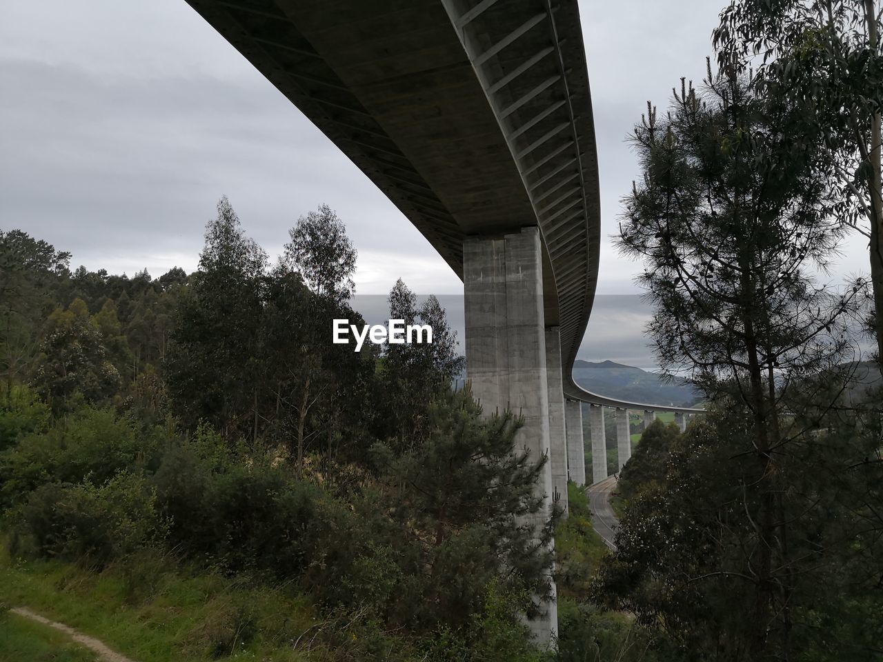 LOW ANGLE VIEW OF BRIDGE AND TREES AGAINST SKY