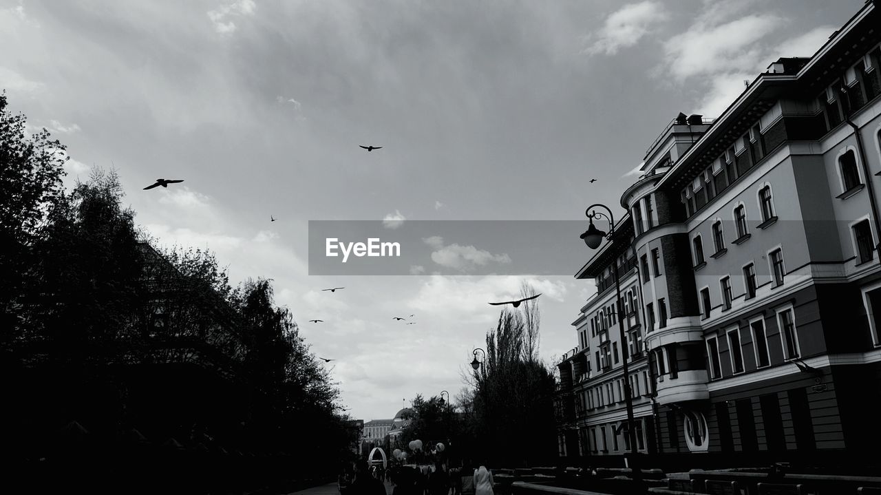 Low angle view of birds flying over city against sky